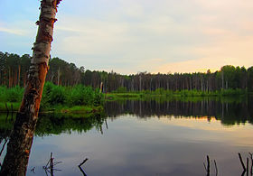 Озеро Святое Тумботинское (северная часть).