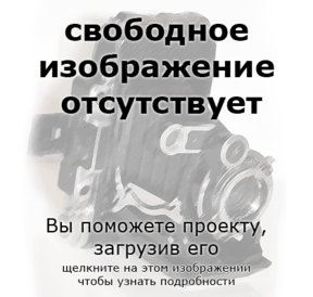 No-free-image-ru-(photo).png