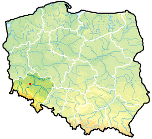 Гмина Милковице, карта