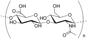 Гиалуроновая кислота