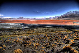 Laguna Colorada en Bolivia.jpg