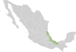 Веракрус, карта