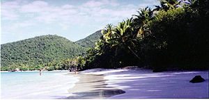 Тропический пляж с песком, прибоем и пальмами. Несколько купающихся наслаждаются открытым морем