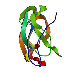PBB Protein APP image.jpg