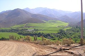 Plantaciones-Monte Patria.jpg