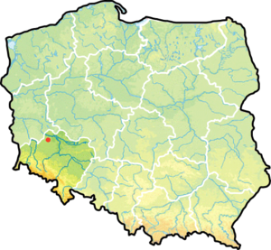 Гмина Радванице, карта