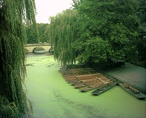 300px River Cam green
