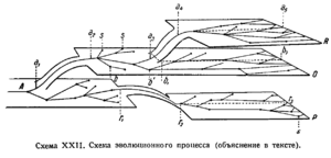 таким образом ароморфозы характеризуют разные. Смотреть фото таким образом ароморфозы характеризуют разные. Смотреть картинку таким образом ароморфозы характеризуют разные. Картинка про таким образом ароморфозы характеризуют разные. Фото таким образом ароморфозы характеризуют разные
