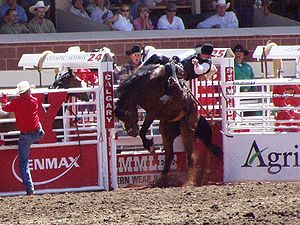 Как называется скачки на быках. 300px StampedeRodeo2002. Как называется скачки на быках фото. Как называется скачки на быках-300px StampedeRodeo2002. картинка Как называется скачки на быках. картинка 300px StampedeRodeo2002