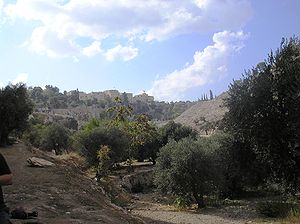Геенна в исламе что такое. 300px Valley of Hinom PA180090. Геенна в исламе что такое фото. Геенна в исламе что такое-300px Valley of Hinom PA180090. картинка Геенна в исламе что такое. картинка 300px Valley of Hinom PA180090. Геенна (ивр. גהנום, גהנם ‎, греч. γέεννα ) — долина к юго-западу от Иерусалима и символ Судного дня в иудаизме и христианстве, а в исламе является равнозначным слову «Ад».