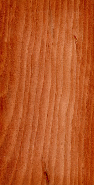 Wood Larix decidua.jpg