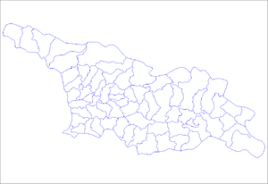 300px georgia districts
