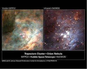 Как называют ассоциации которые образуют галактики. 300px orion.nebula.m42.trapezium.cluster.vis ir.hst. Как называют ассоциации которые образуют галактики фото. Как называют ассоциации которые образуют галактики-300px orion.nebula.m42.trapezium.cluster.vis ir.hst. картинка Как называют ассоциации которые образуют галактики. картинка 300px orion.nebula.m42.trapezium.cluster.vis ir.hst