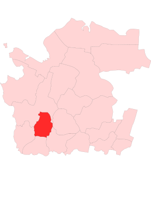 Няндомский муниципальный район на карте
