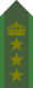 SWE-Army-OF5.png