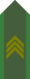 SWE-Army-OFSb.png