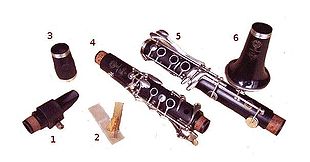 Morceaux de clarinette.jpg