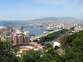 Малага что это такое. Смотреть фото Малага что это такое. Смотреть картинку Малага что это такое. Картинка про Малага что это такое. Фото Малага что это такое
