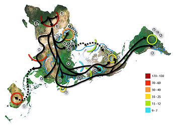 Реферат: Япония: доисторический период и палеолит