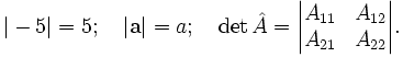 |-5|=5; \quad |\mathbf{a}|=a; \quad \det\hat{A} = \begin{vmatrix} A_{11} &amp;amp; A_{12}  \\ A_{21} &amp;amp; A_{22} \end{vmatrix}.