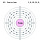 Electron shell 062 Samarium.svg