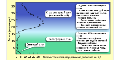 Озон что такое его функции. Смотреть фото Озон что такое его функции. Смотреть картинку Озон что такое его функции. Картинка про Озон что такое его функции. Фото Озон что такое его функции