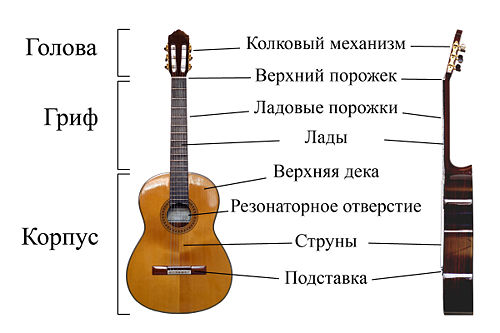 Устройство акустический гитары