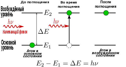 download stochastic simulation