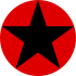 Soviet Russia Air force roundel (variant 1).svg