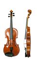 76px Violin VL100