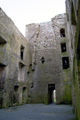 Lemaneagh Castle3.jpg