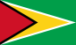 Flag of Guyana.svg