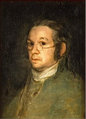 Goya portrait.jpg