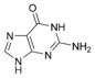 Chemical structure of guanine