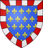 Blason comte fr Touraine.svg