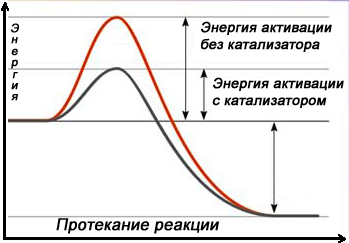 Катализатор | это... Что такое Катализатор?