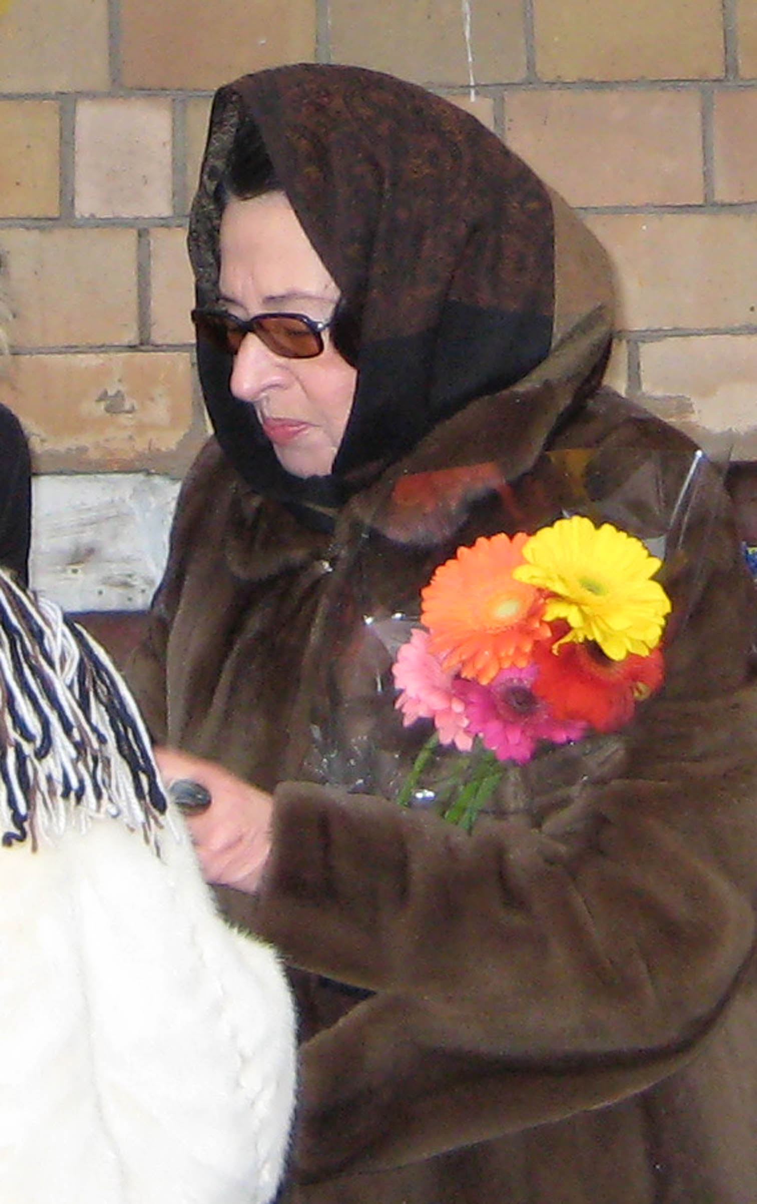 Алла гербер в молодости