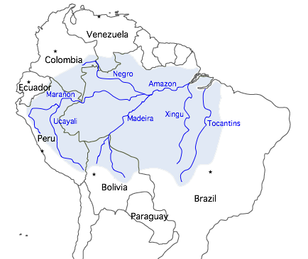 Реферат: Открытие Амазонки