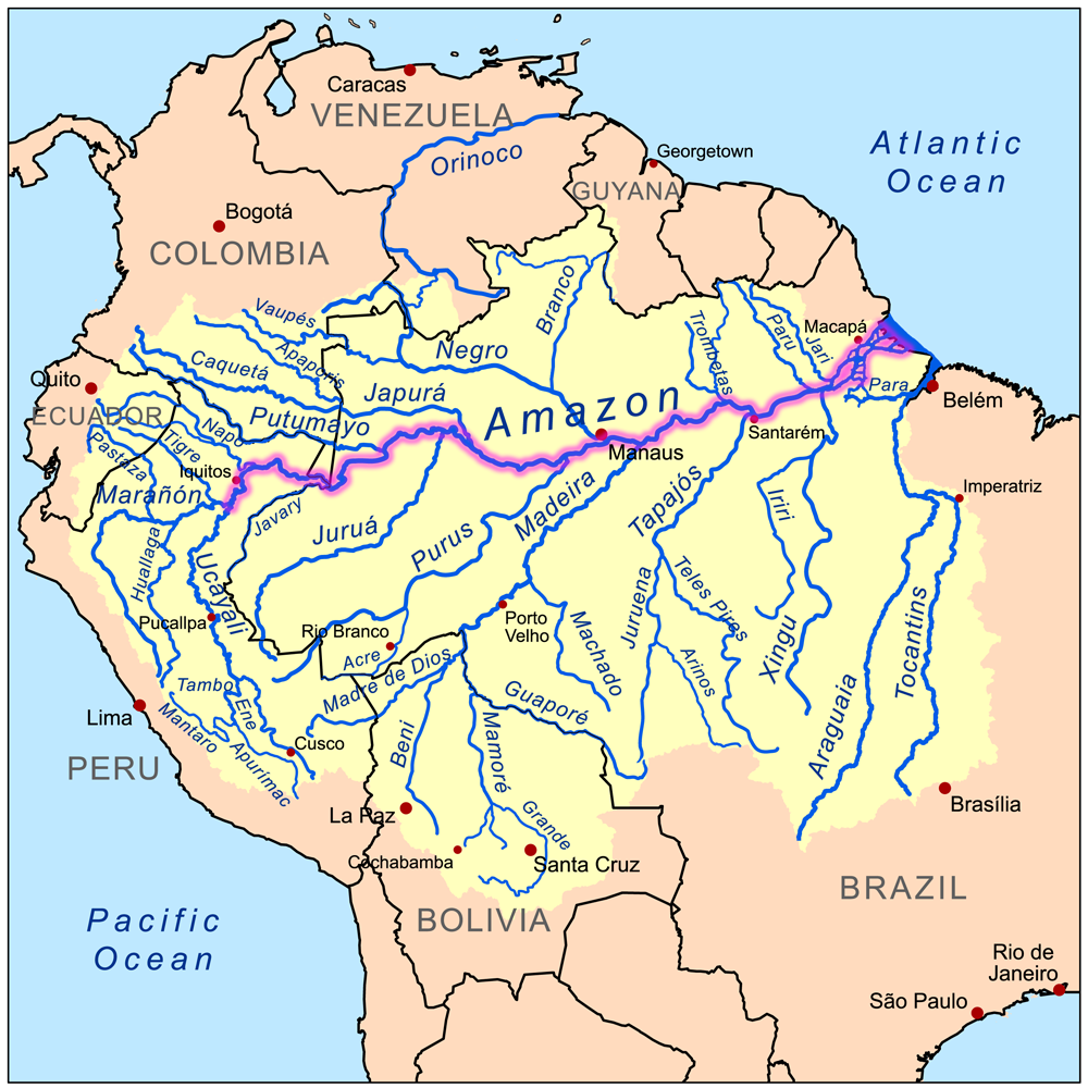 Реферат: Открытие Амазонки