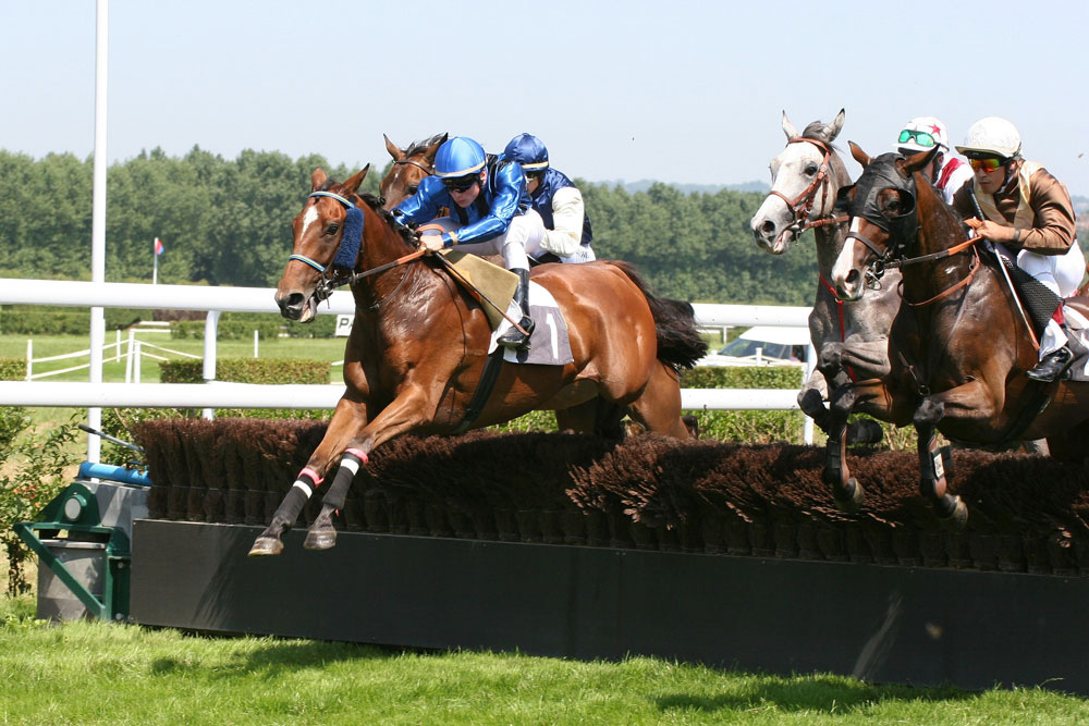 http://dic.academic.ru/pictures/wiki/files/68/Deauville-Clairefontaine_obstacle_3.jpg