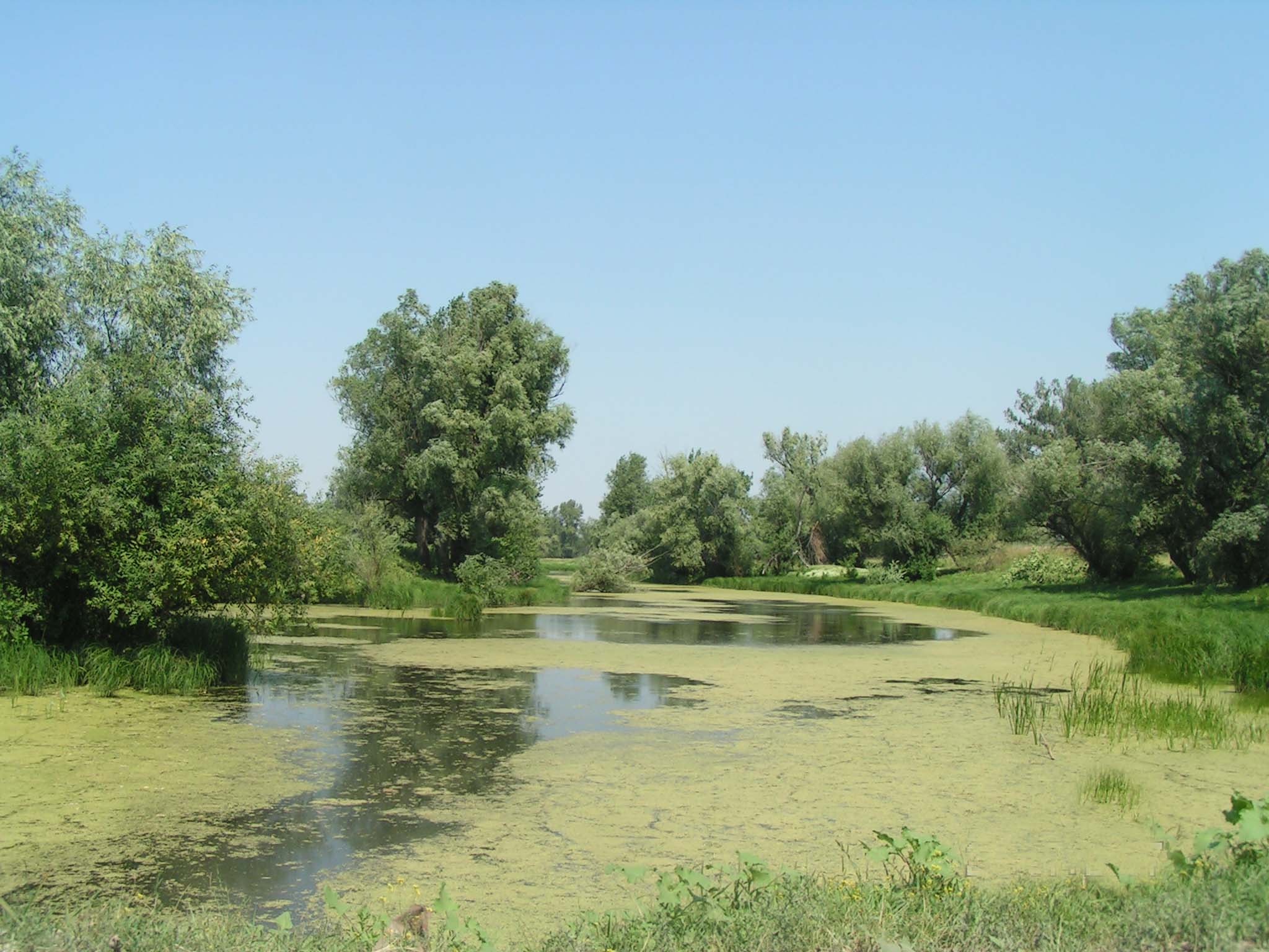 Пейзаж астраханской области