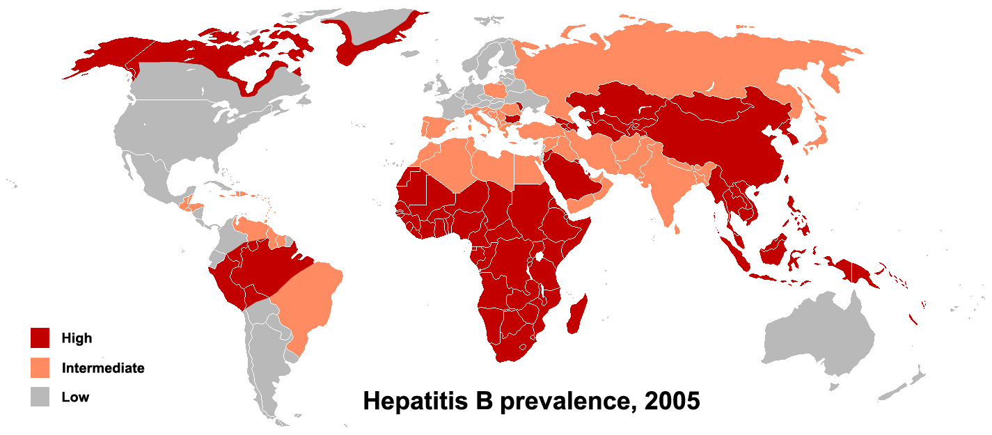 Доклад: Что такое гепатит B?