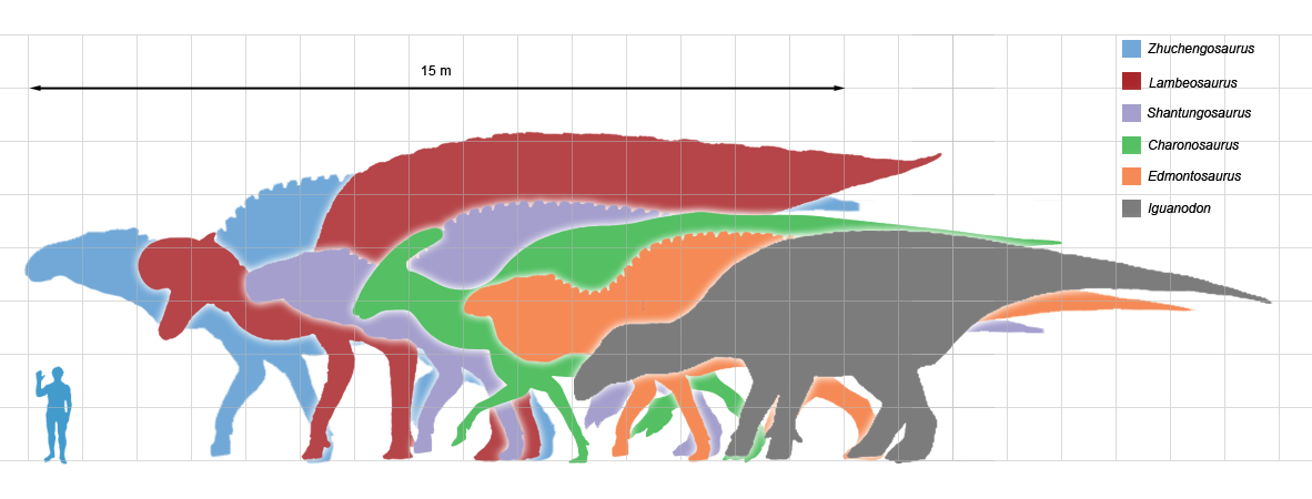 Сравнение динозавров. Размеры динозавров в сравнении с человеком. Динозавры по сравнению с человеком. Размеры динозавров. Соотношение размеров динозавров.