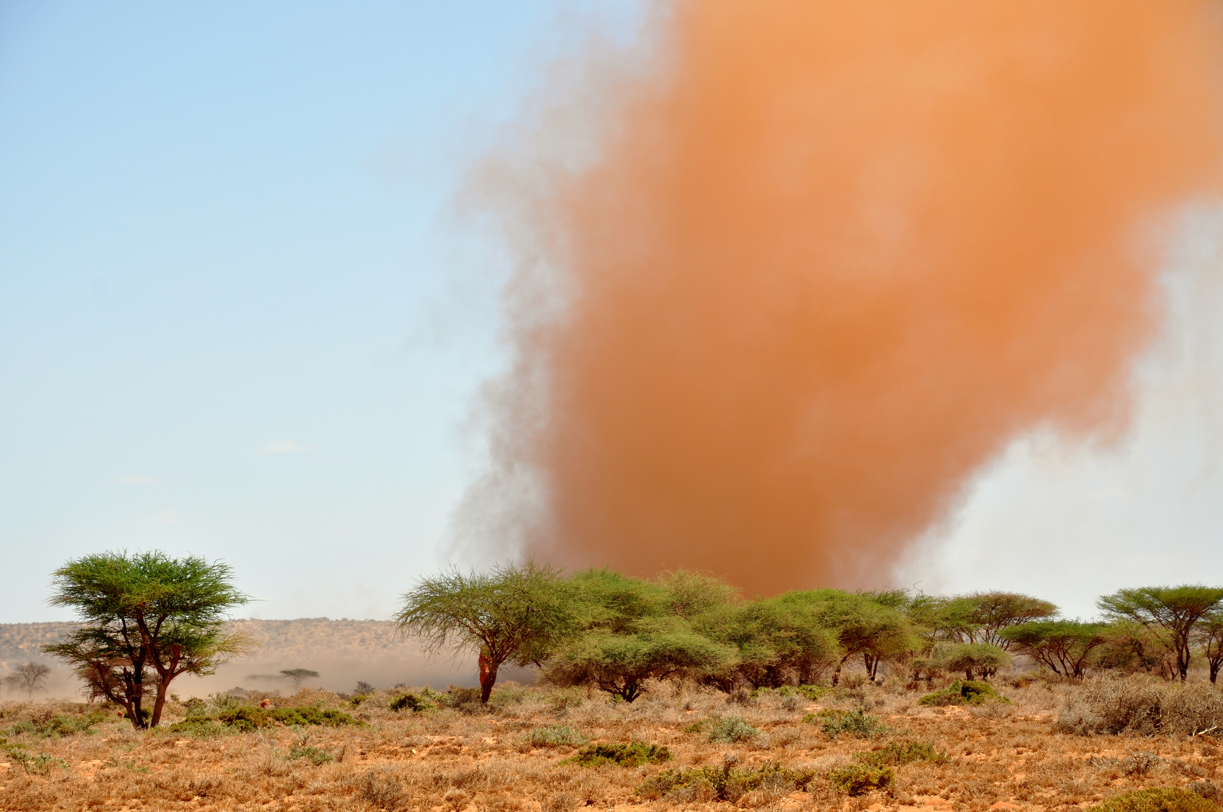 Горячий ветер африки 5 букв. Самум Песчаная буря. Песчаная буря в пустыне сахара. Песчаная буря Торнадо. Пустыня сахара пыльная буря.