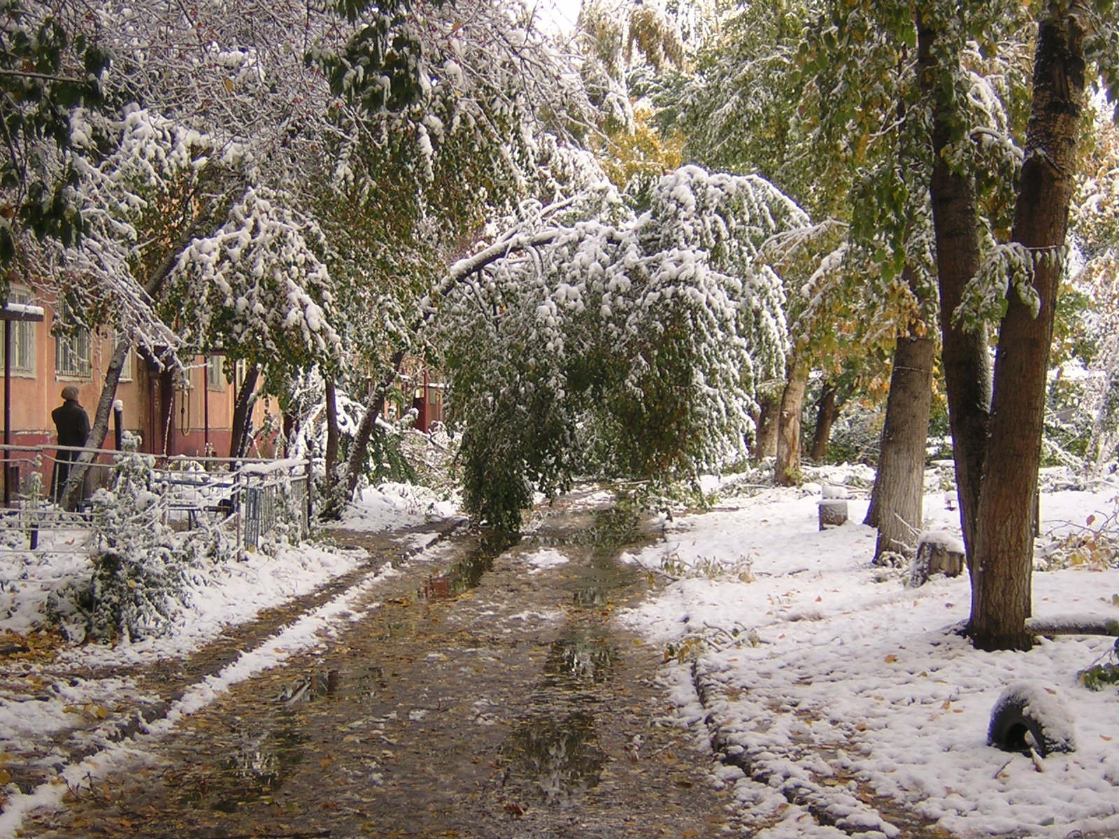 Барнаул Зимой Фото