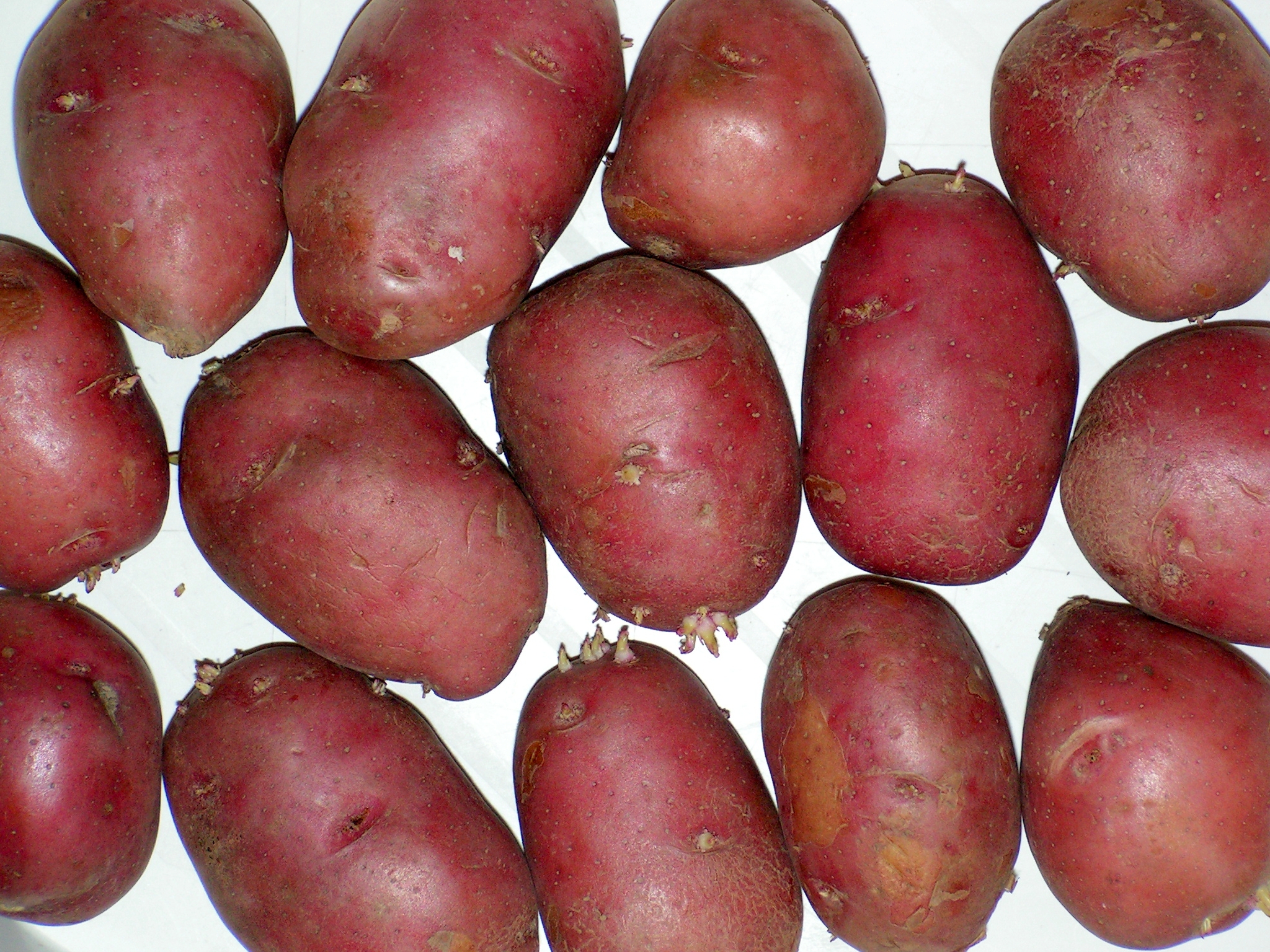 Сорта розовой картошки. Сорт картофеля Журавинка. Сорт Розалинд картофель. Картофель сорта "Бородянский розовый".