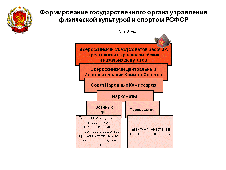 Организация спортивной федерации в российской федерации