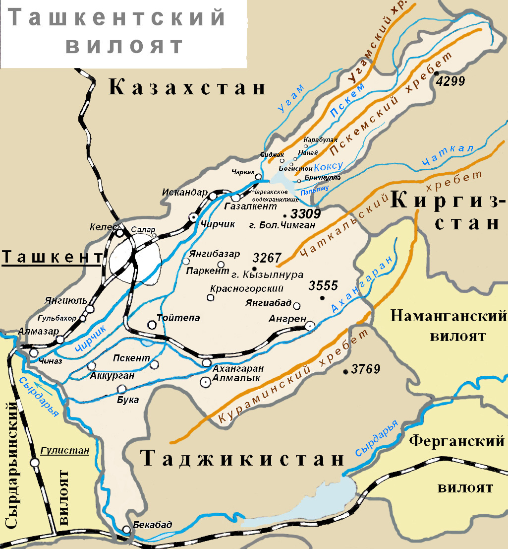 Реферат: Ташкентская крепость
