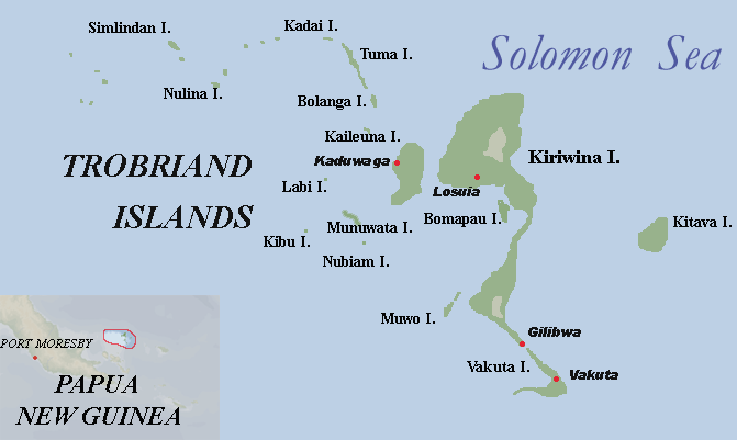 Реферат: Аргонавты западной части Тихого океана