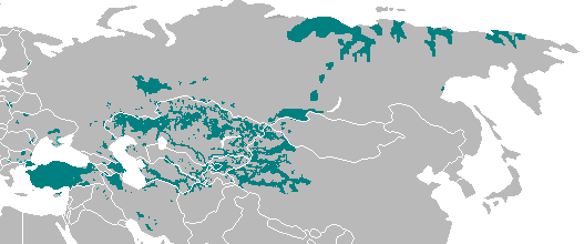 Курсовая работа: К вопросу о классификации тюркских языков и диалектов